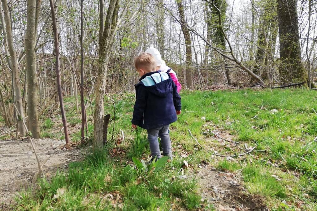 5Sterne Ferienwohnung Im Fachwerk Mit Bergblick In Alleinlage Und Grossem Garten, Infrarotkabine Humberg Buitenkant foto
