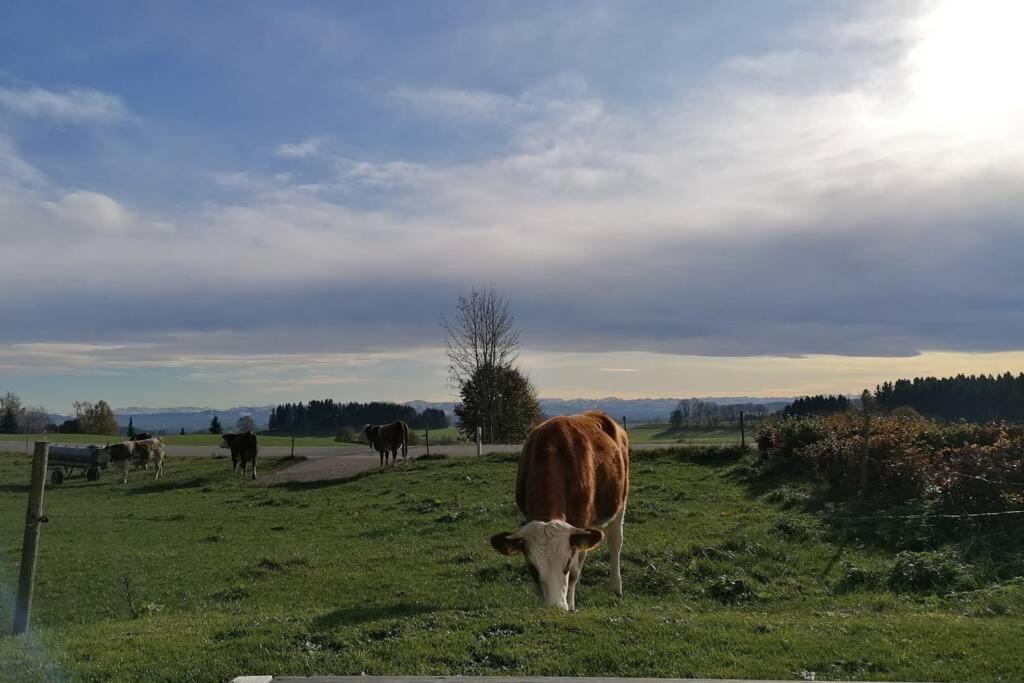 5Sterne Ferienwohnung Im Fachwerk Mit Bergblick In Alleinlage Und Grossem Garten, Infrarotkabine Humberg Buitenkant foto