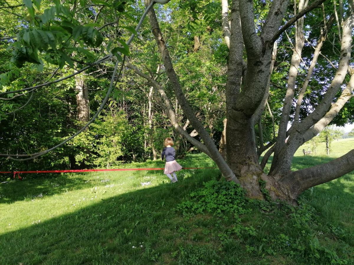 5Sterne Ferienwohnung Im Fachwerk Mit Bergblick In Alleinlage Und Grossem Garten, Infrarotkabine Humberg Buitenkant foto