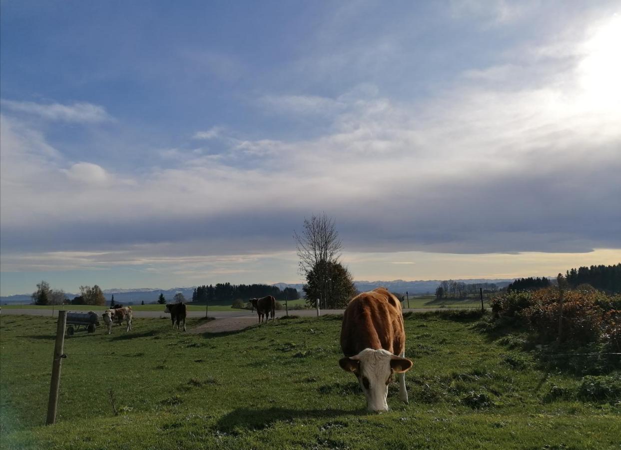5Sterne Ferienwohnung Im Fachwerk Mit Bergblick In Alleinlage Und Grossem Garten, Infrarotkabine Humberg Buitenkant foto