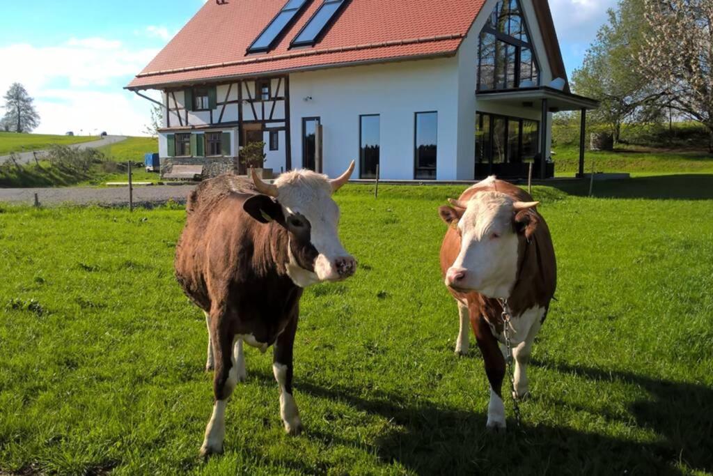 5Sterne Ferienwohnung Im Fachwerk Mit Bergblick In Alleinlage Und Grossem Garten, Infrarotkabine Humberg Buitenkant foto
