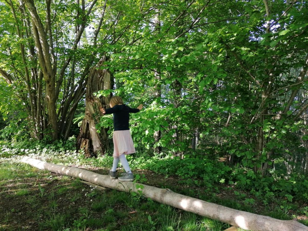 5Sterne Ferienwohnung Im Fachwerk Mit Bergblick In Alleinlage Und Grossem Garten, Infrarotkabine Humberg Buitenkant foto