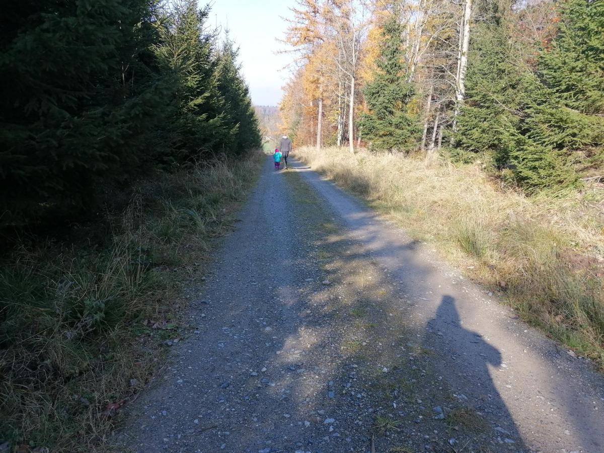 5Sterne Ferienwohnung Im Fachwerk Mit Bergblick In Alleinlage Und Grossem Garten, Infrarotkabine Humberg Buitenkant foto