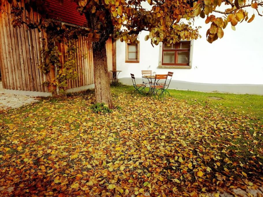 5Sterne Ferienwohnung Im Fachwerk Mit Bergblick In Alleinlage Und Grossem Garten, Infrarotkabine Humberg Buitenkant foto