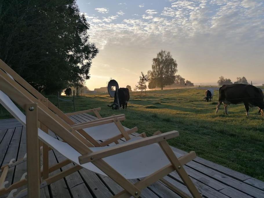 5Sterne Ferienwohnung Im Fachwerk Mit Bergblick In Alleinlage Und Grossem Garten, Infrarotkabine Humberg Buitenkant foto