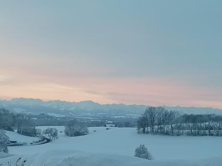 5Sterne Ferienwohnung Im Fachwerk Mit Bergblick In Alleinlage Und Grossem Garten, Infrarotkabine Humberg Buitenkant foto