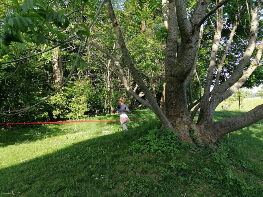 5Sterne Ferienwohnung Im Fachwerk Mit Bergblick In Alleinlage Und Grossem Garten, Infrarotkabine Humberg Buitenkant foto