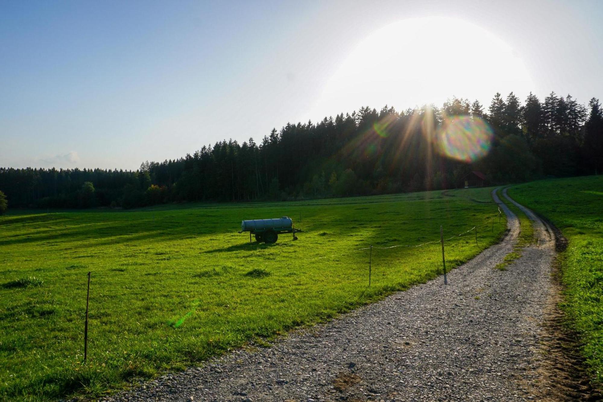 5Sterne Ferienwohnung Im Fachwerk Mit Bergblick In Alleinlage Und Grossem Garten, Infrarotkabine Humberg Buitenkant foto