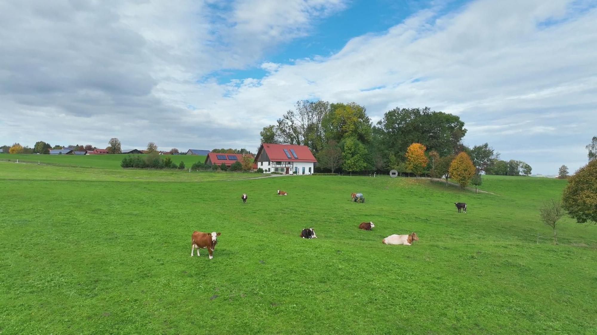 5Sterne Ferienwohnung Im Fachwerk Mit Bergblick In Alleinlage Und Grossem Garten, Infrarotkabine Humberg Buitenkant foto