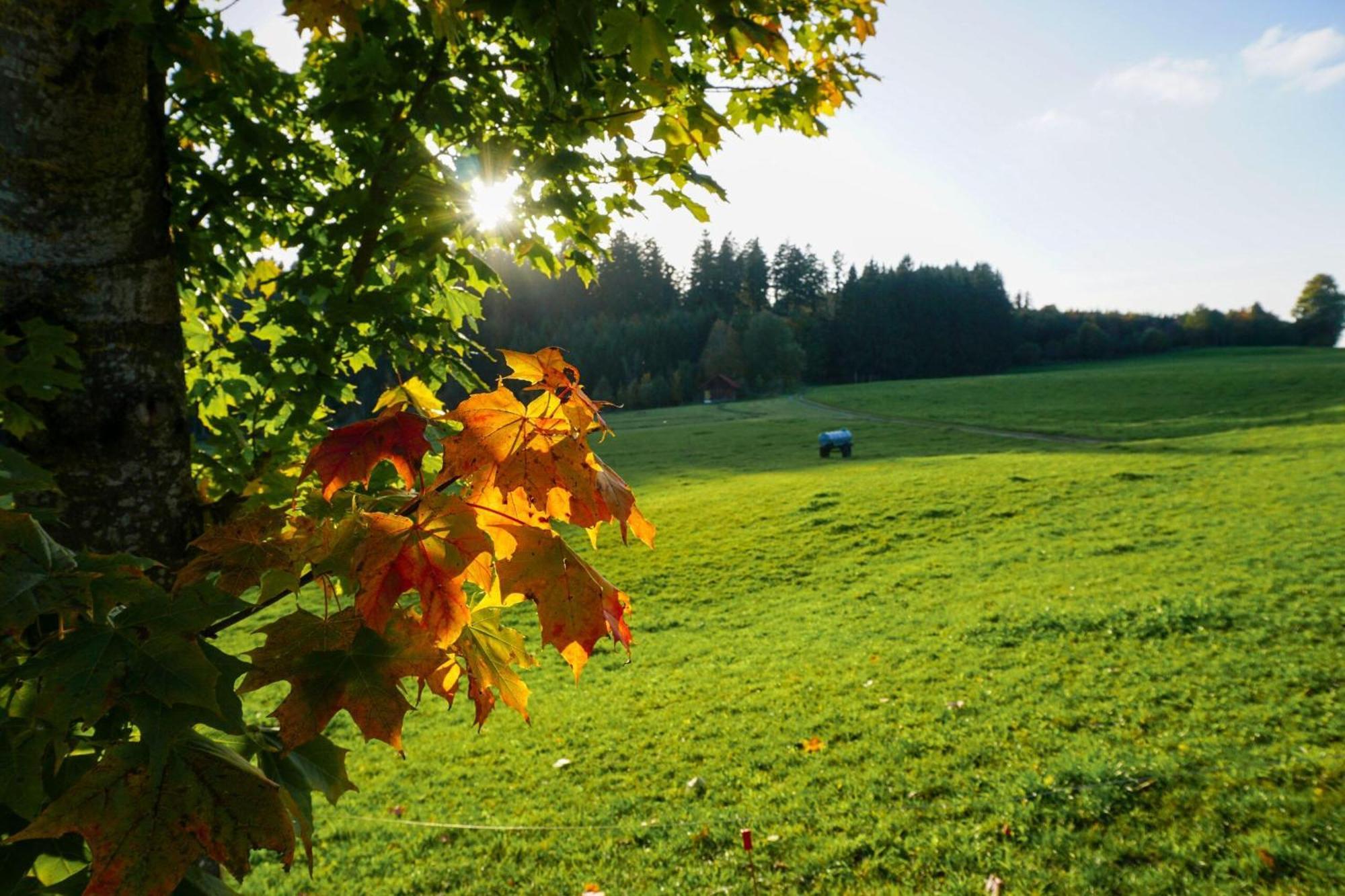 5Sterne Ferienwohnung Im Fachwerk Mit Bergblick In Alleinlage Und Grossem Garten, Infrarotkabine Humberg Buitenkant foto